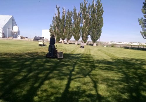 Lawn Mower Training
