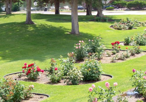 Lovell Rose Park